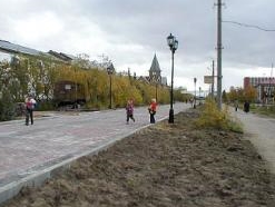 В Подмосковье выявили 1500 нарушений земельного законодательства