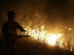 Лесные пожары снизили спрос на аренду коттеджей и дач